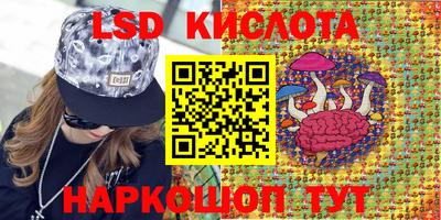дживик Новозыбков