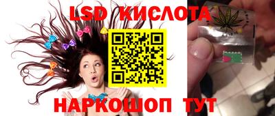 дживик Новозыбков