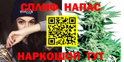 твердый Новодвинск