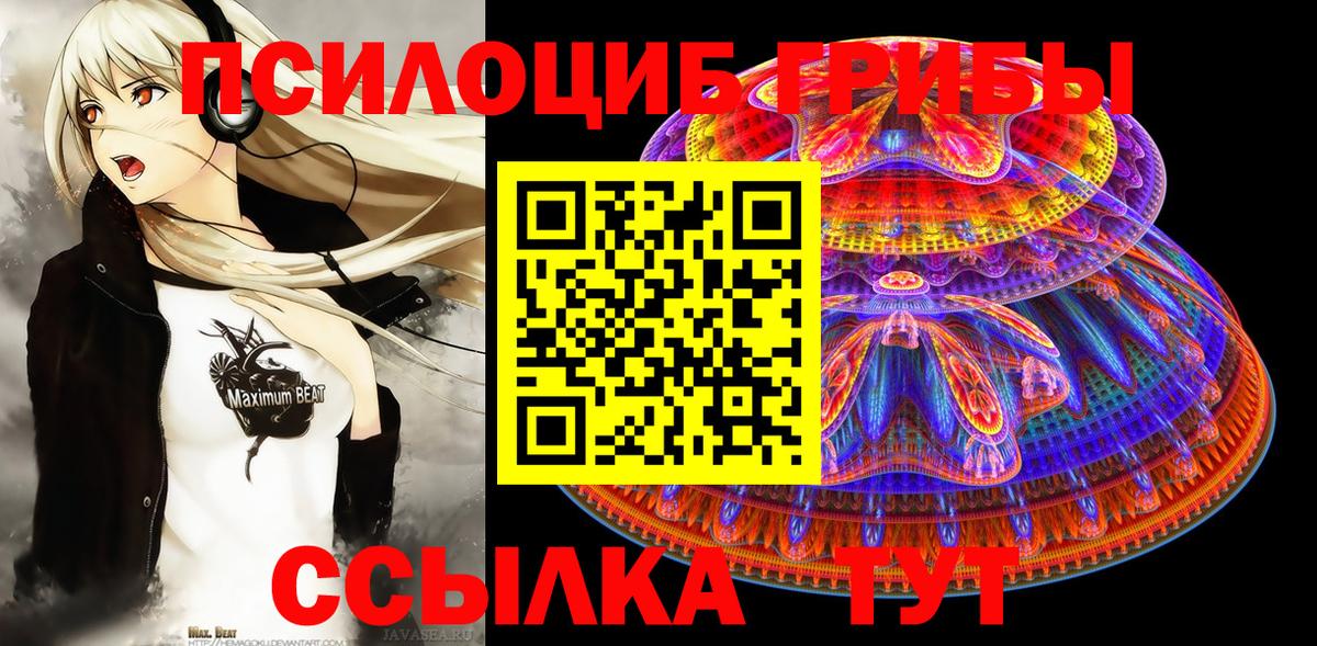 Соль-Илецк  Псилоцибиновые грибы Magic Shrooms  Псилоцибиновые грибы MAGIC MUSHROOMS  Вход с VPN 