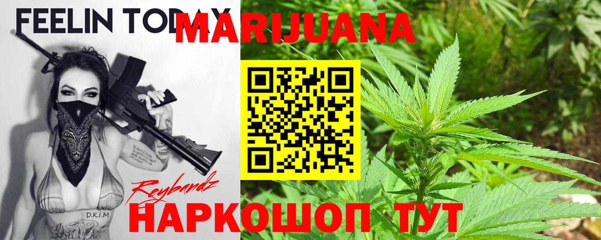 Каннабис сатива Соль-Илецк